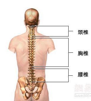 腰椎間盤實出症