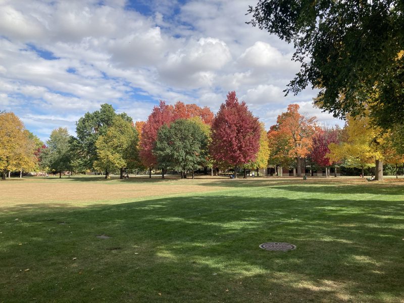 卡爾頓學院(Carleton College)