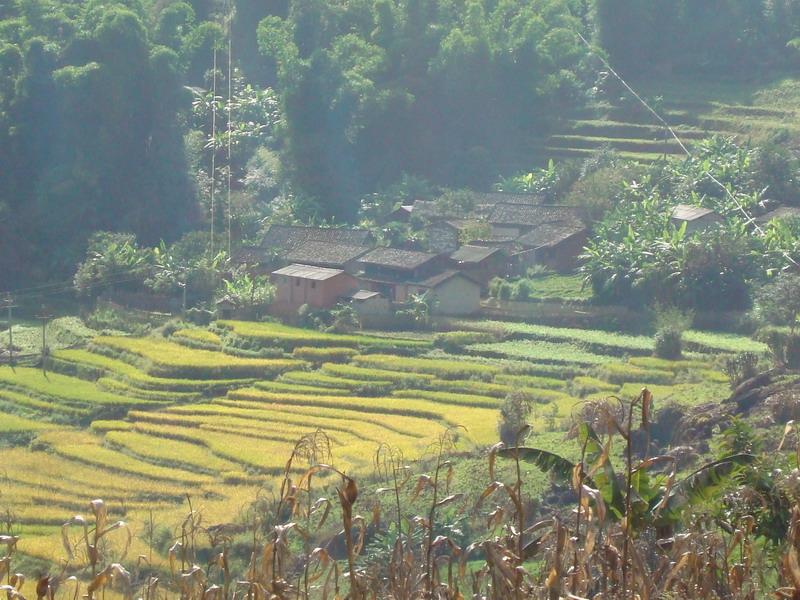 田壩自然村(風景區田壩自然村)