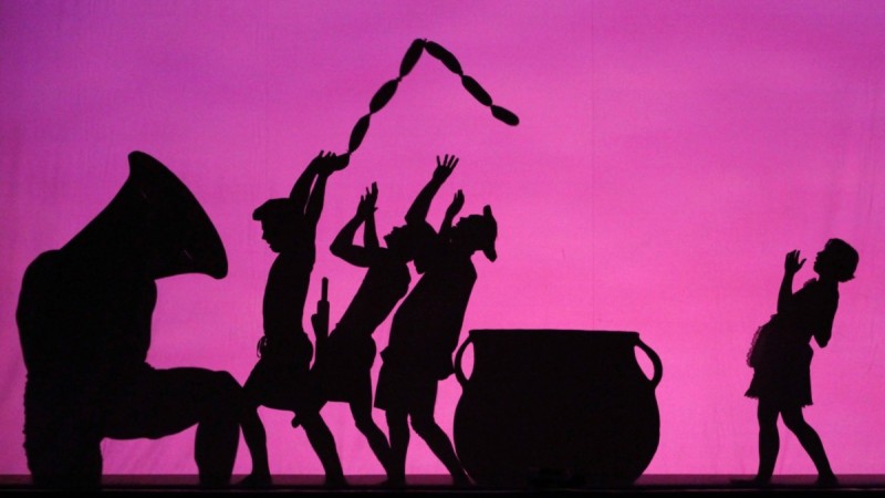 pilobolus