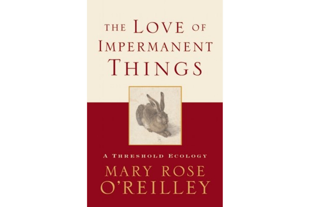 The Love of Impermanent Things