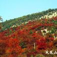 沂源鳳凰山