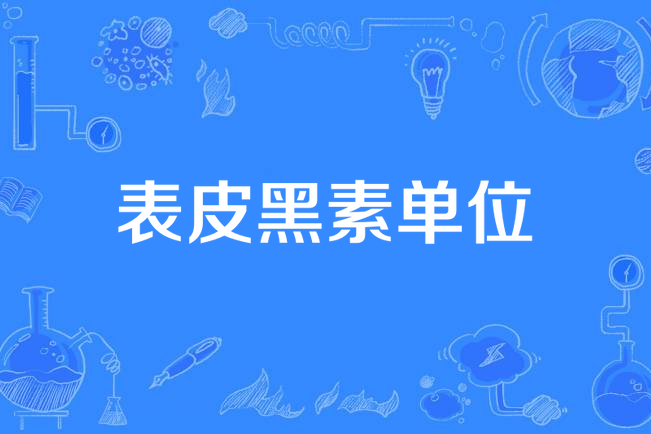 表皮黑素單位