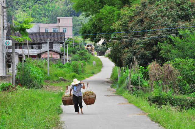 大塘篤村