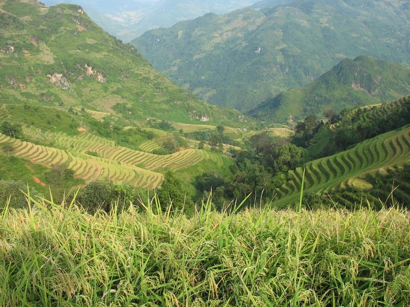 石圍寨村