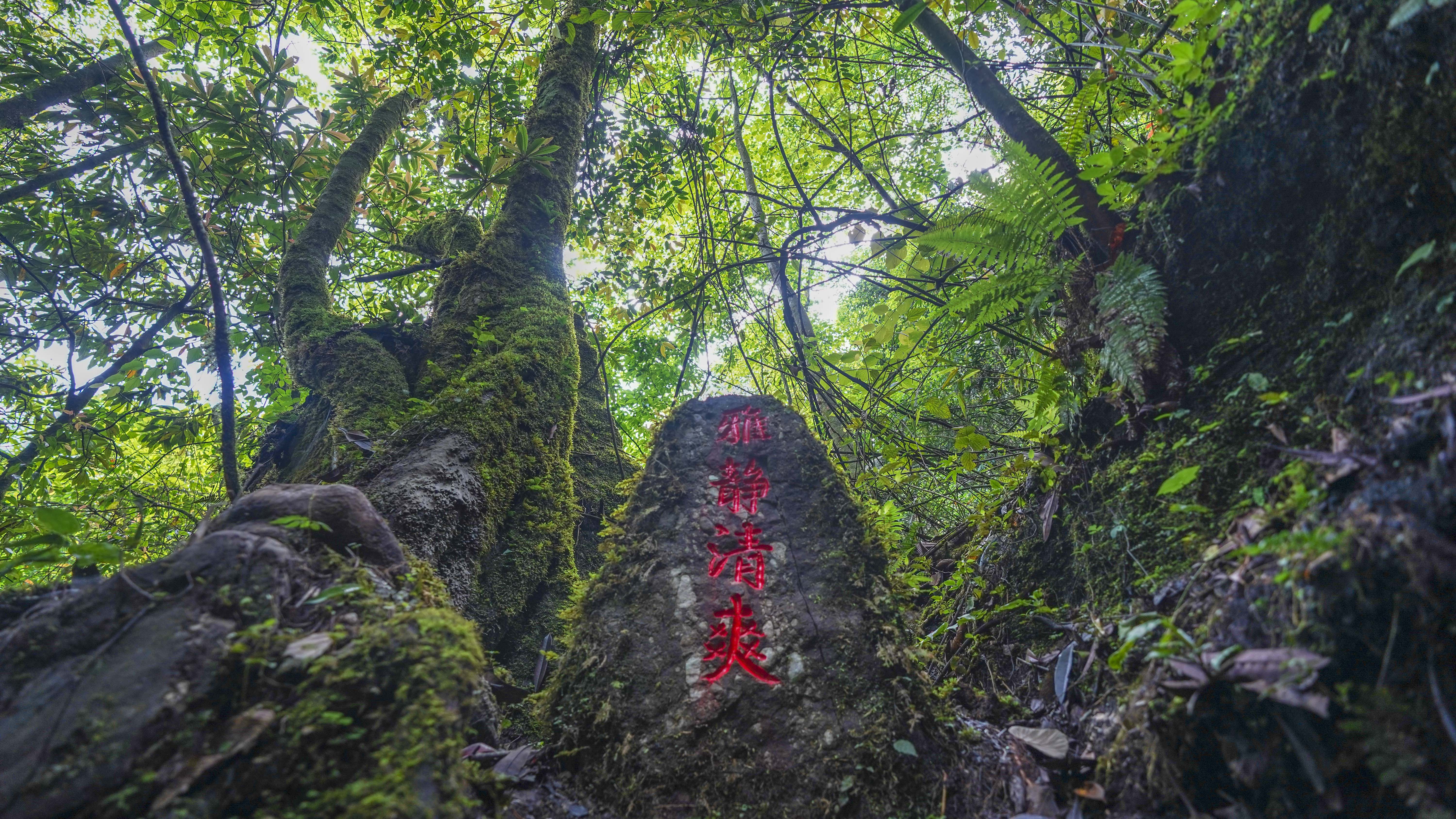 猴山飛瀑