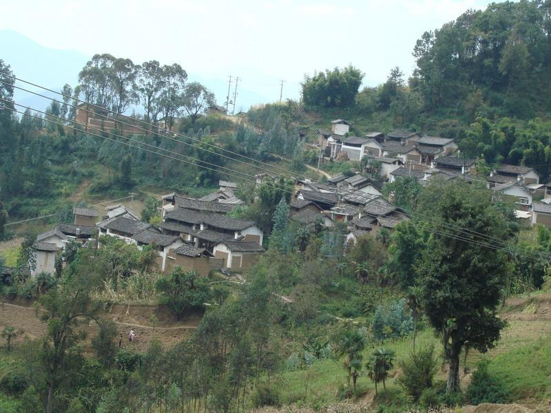 踏枝樹村