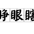 睜眼瞎(詞語)