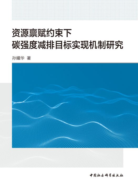 資源稟賦約束下碳強度減排目標實現機制研究(孫耀華創作環境科學著作)