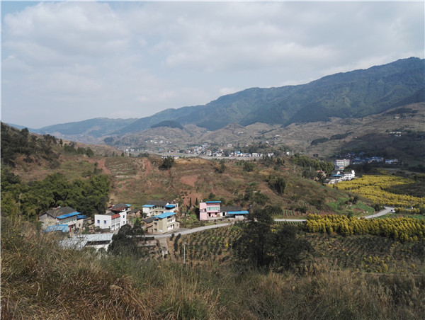 東升村(廣東省廣州市花都區赤坭鎮東升村)