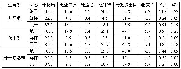 小花頓河驢食豆