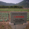 八卦田遺址公園