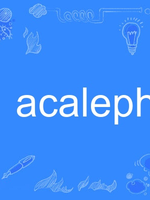 acalephe