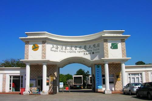 上海凌空農藝大觀園(凌空農藝大觀園)