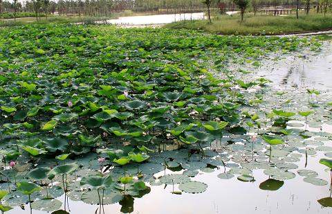 雙涇農漁文化體驗園