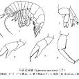 馬氏近泉戎