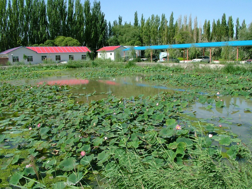 相思湖風景區