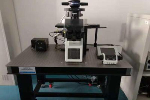 雷射掃描共聚焦顯微鏡主體系統