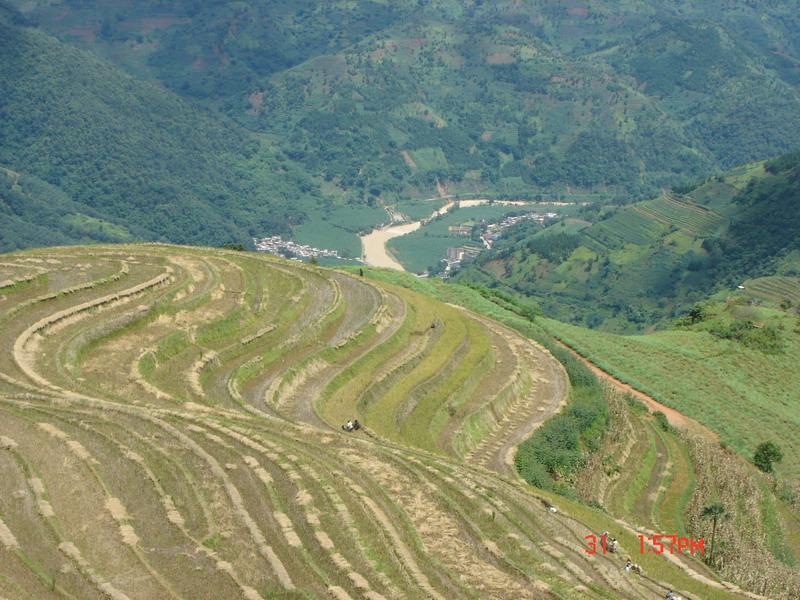 村中田園