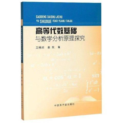 高等代數基礎與數學分析原理探究