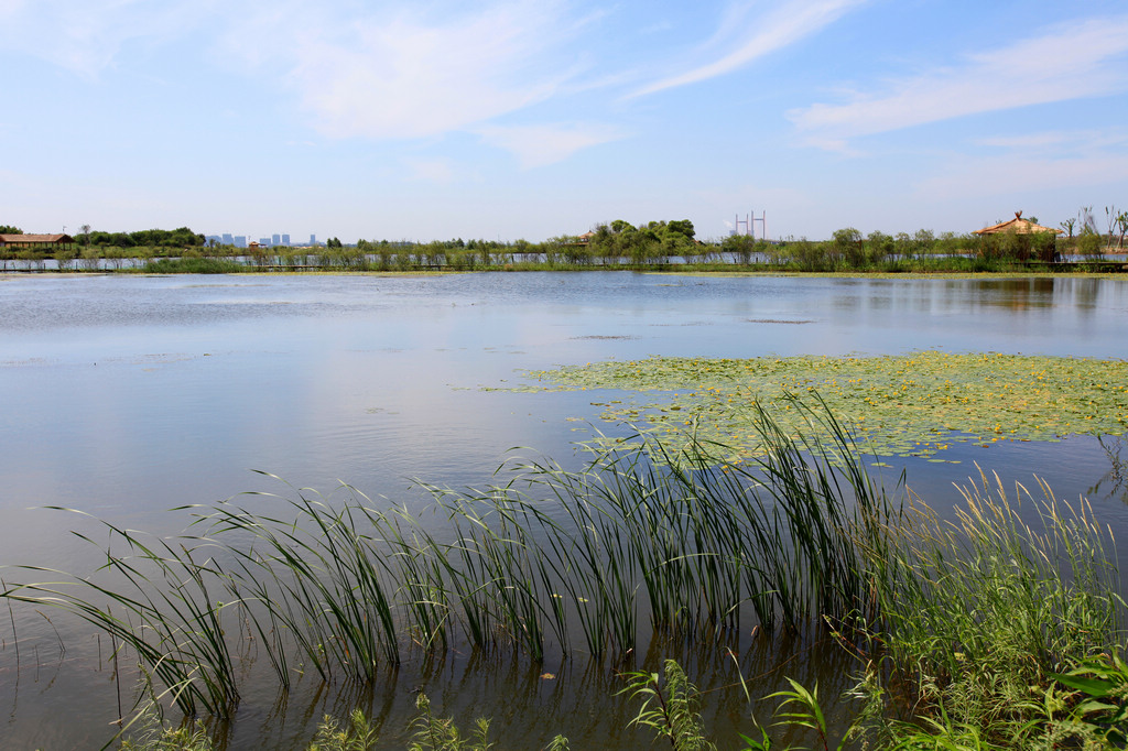 金海灣濕地公園