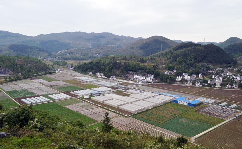 黃龍村(雲南省玉溪市通海縣秀山鎮下轄村)