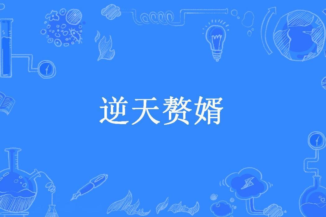 逆天贅婿(我是秀才所著小說)