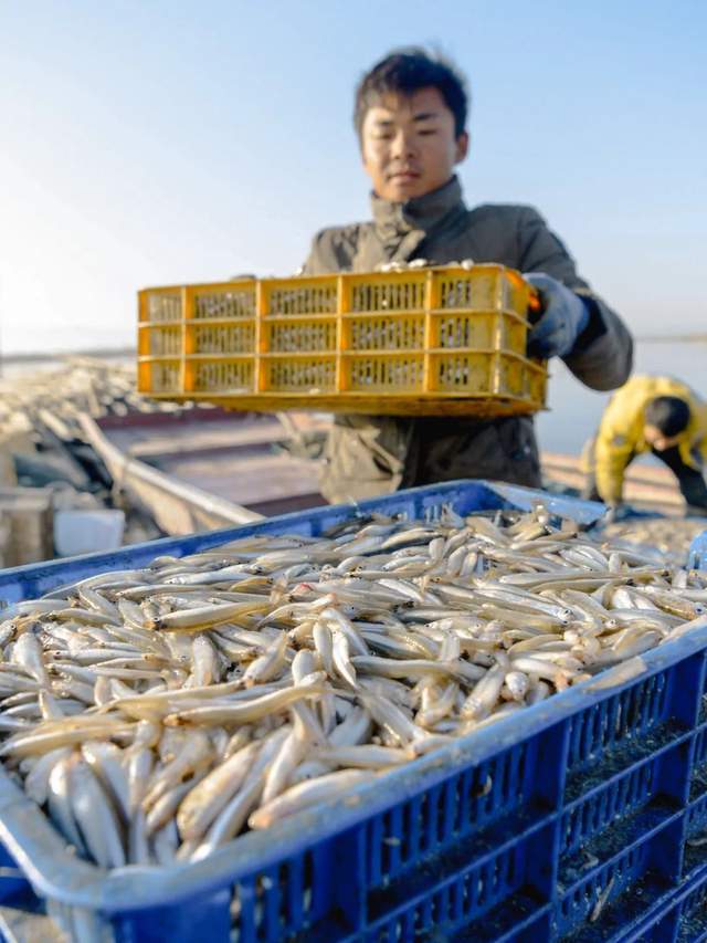 新疆，對外輸出海鮮？！| 地球知識局