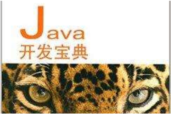 程式設計師開發寶典系列：Java開發寶典