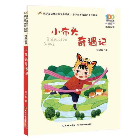 小布頭奇遇記(2019年長江少年兒童出版社出版的圖書)