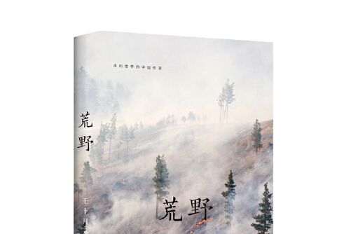 荒野(2019年文化發展出版社出版的圖書)