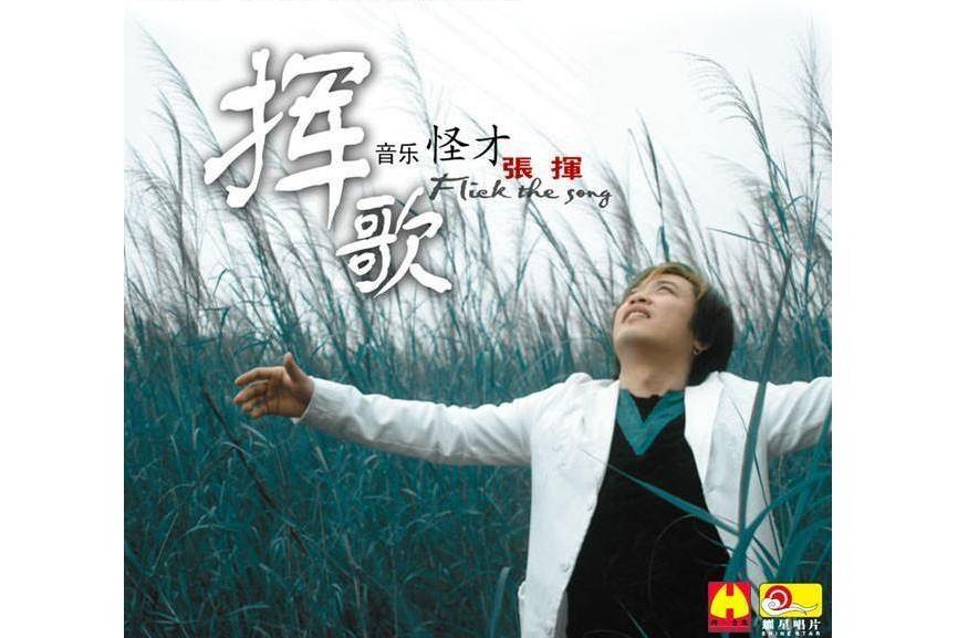 愛情多瑙河(2005年中國歌手張揮演唱的歌曲)