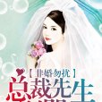 非婚勿擾：總裁先生別囂張