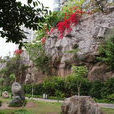 掛榜山(位於桂花鎮桂花村)