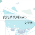 我的系統叫kayo