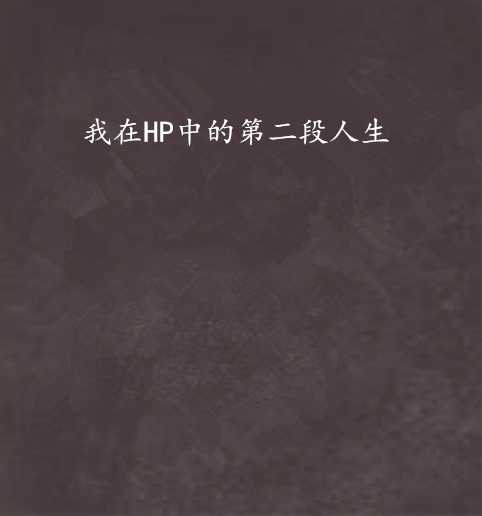 我在HP中的第二段人生