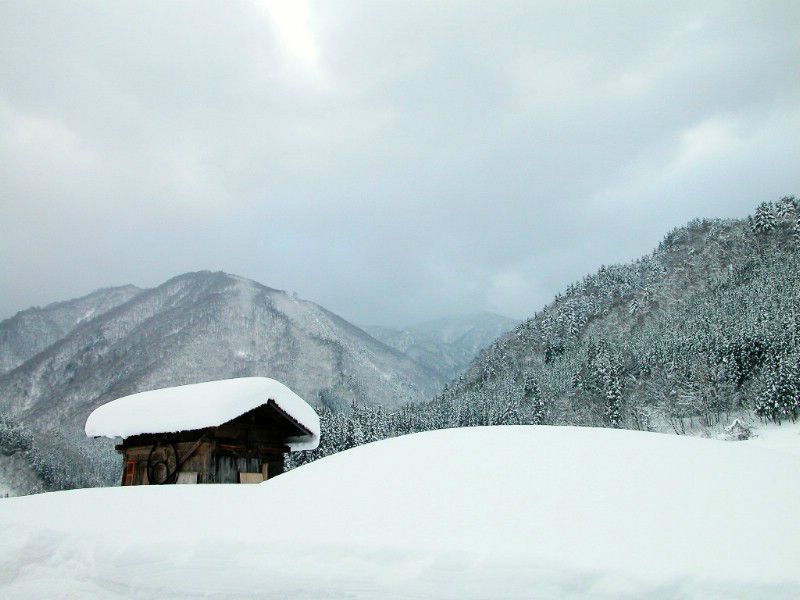 柳下江湖·碧雪