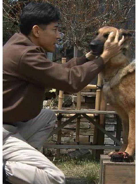 導盲犬誕生物語