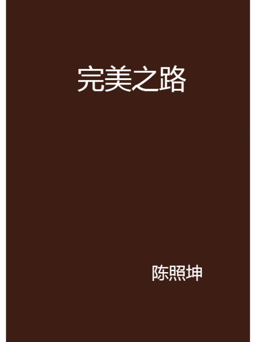 完美之路(陳照坤創作的網路小說)