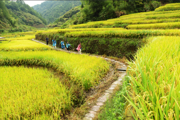 黃坑村