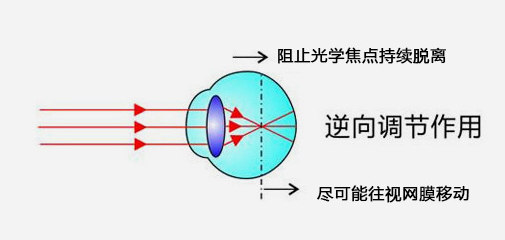 中山市晶明堂眼視光學科技有限公司