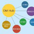 DM Hub