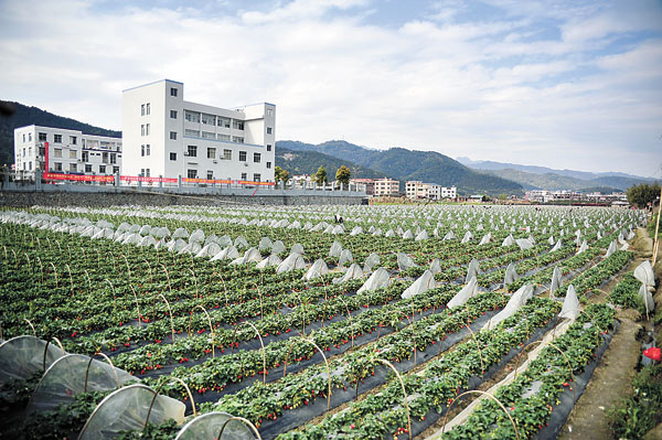 隆興村(安徽省滁州市全椒縣西王鎮隆興村)