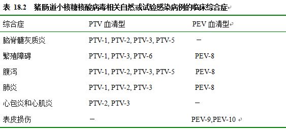 豬腸道病毒