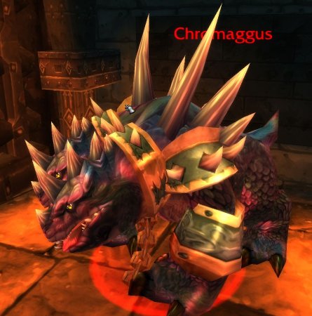 Chromaggus