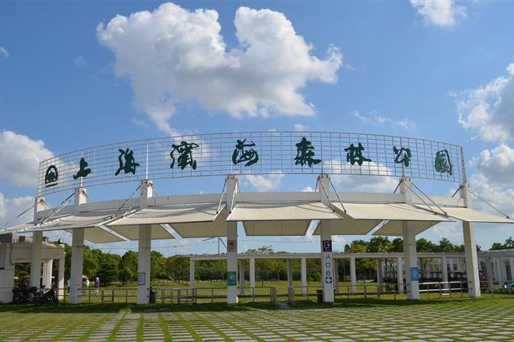 上海濱海森林公園(濱海森林公園)