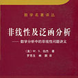 非線性及泛函分析——數學分析中的非線性問題講義