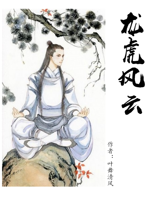 白眉大俠之龍虎風雲(小說)