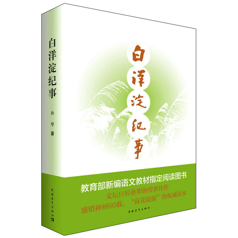 白洋淀紀事(2010年中國青年出版社出版圖書)