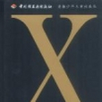 X.13